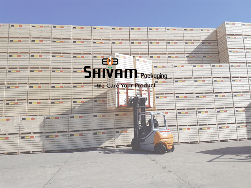 Best Wooden Bins Manufacturer & Supplier In Ahmedabad, India #1